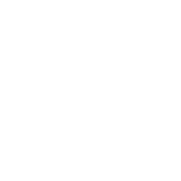 Inicio 6 Conservas Artesanales